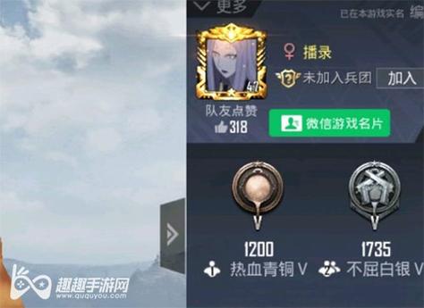 和平精英辅助【火锅直装稳定版】支持新版本游戏 全图透视 开火自瞄 人物加速大黑耗子