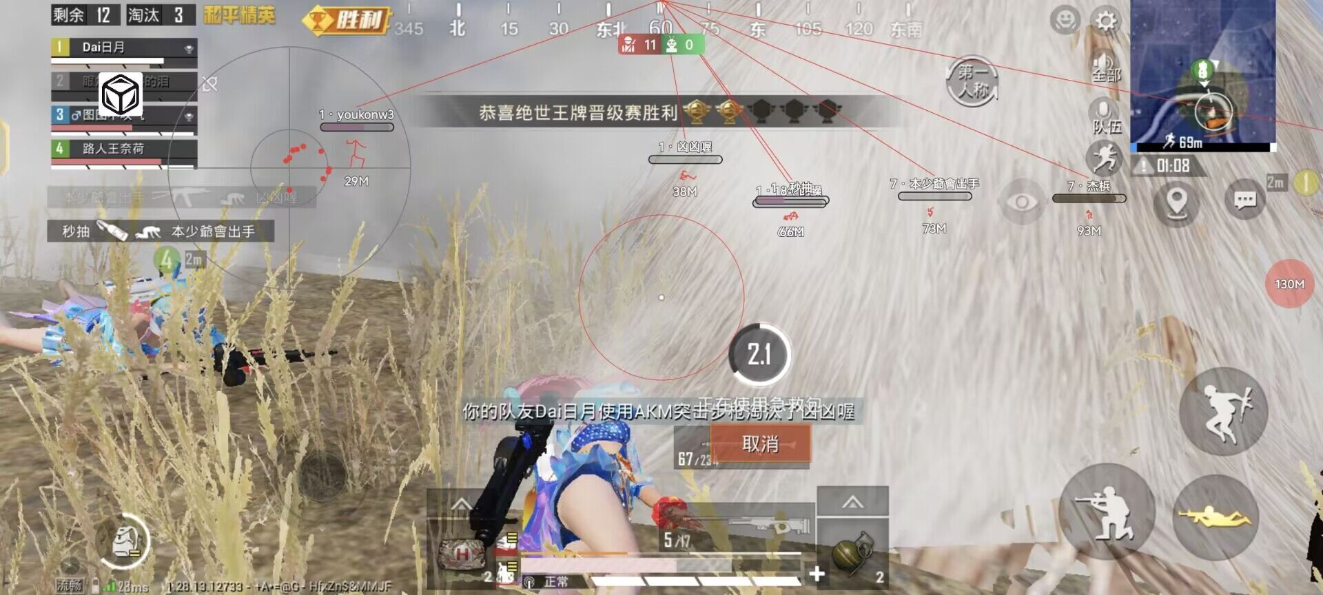 和平精英辅助【内部G简洁版】